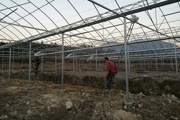 大棚蔬菜简易种植方法，将温度控制在18-25℃