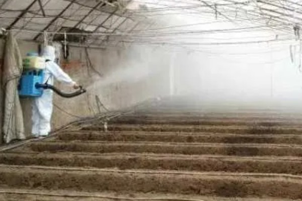 大棚蔬菜简易种植方法，将温度控制在18-25℃