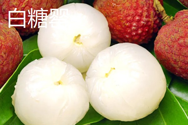 宜宾大塔荔枝的特点,肉厚多汁入口化渣