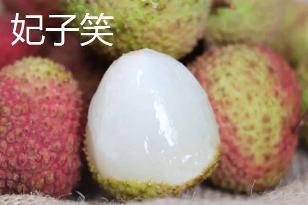 宜宾大塔荔枝的特点,肉厚多汁入口化渣