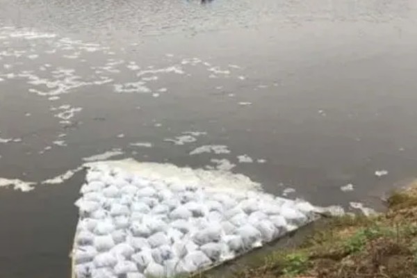 赤眼鳟怎么养殖，每隔5-7天加一次水