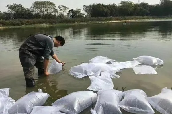 赤眼鳟怎么养殖，每隔5-7天加一次水