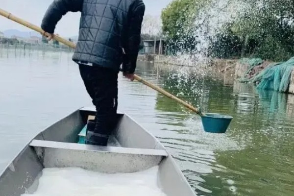 赤眼鳟怎么养殖，每隔5-7天加一次水