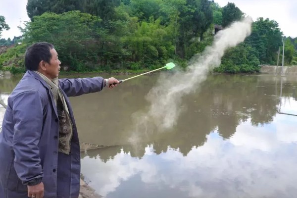 赤眼鳟怎么养殖，每隔5-7天加一次水
