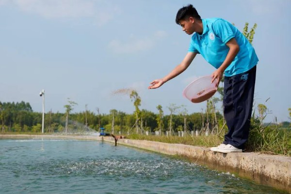 赤眼鳟怎么养殖，每隔5-7天加一次水