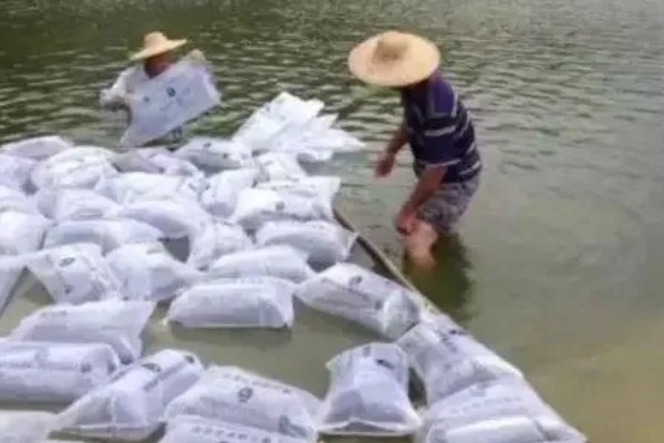 赤眼鳟怎么养殖，每隔5-7天加一次水