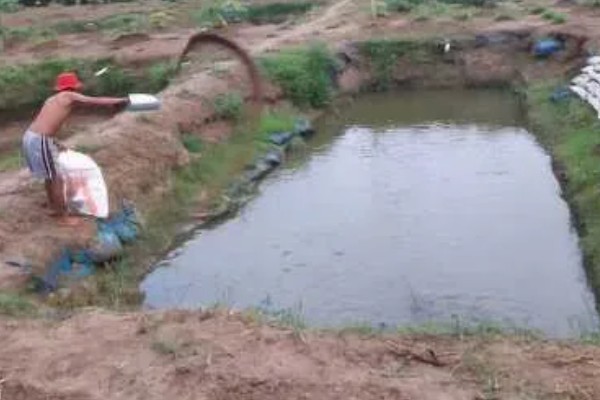 赤眼鳟怎么养殖，每隔5-7天加一次水