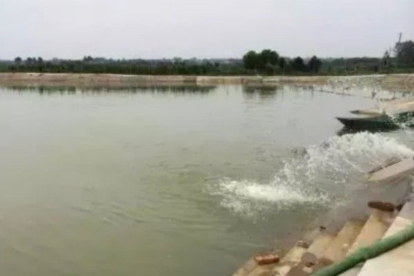 赤眼鳟怎么养殖，每隔5-7天加一次水