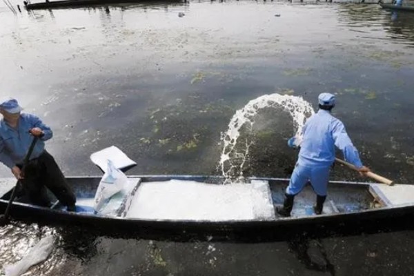 赤眼鳟怎么养殖，每隔5-7天加一次水
