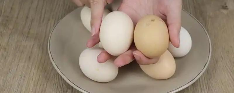挑选鸡蛋的方法，蛋壳手感粗糙表示新鲜