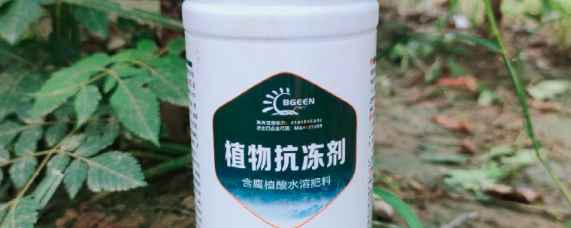 植物防冻剂的选购方法，看有效成分