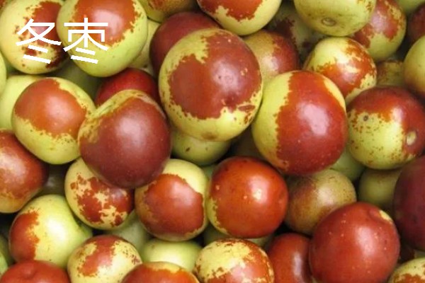冬枣的催熟方法,和苹果等水果放在一起经过1-2天就会成熟
