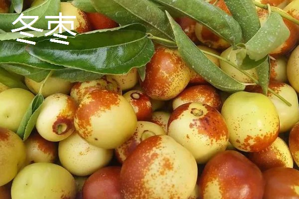 冬枣的催熟方法,和苹果等水果放在一起经过1-2天就会成熟