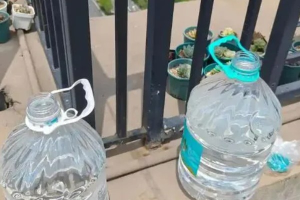 新手养鱼怎么换水,自来水需要先困水