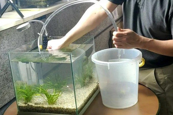 新手养鱼怎么换水,自来水需要先困水