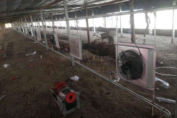 夏季养鸡场怎么降温,可以安装风扇降温