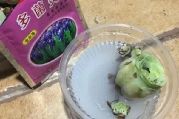 多菌灵的使用误区,常见以下3种误区