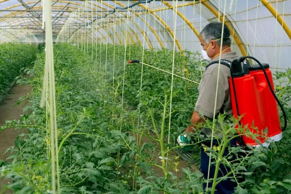 多菌灵的使用误区,常见以下3种误区