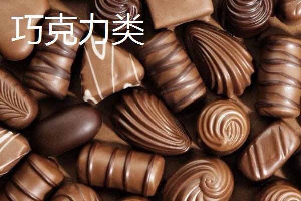 不能给狗狗吃的食物，有巧克力、洋葱等