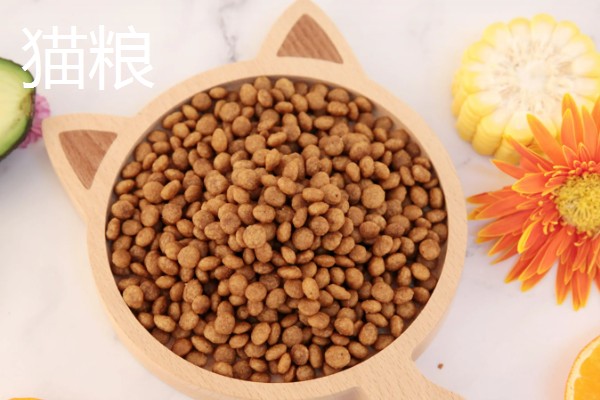 不能给狗狗吃的食物，有巧克力、洋葱等