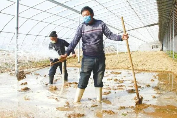 茄子定植前需要的准备工作，土壤要深翻30-40厘米