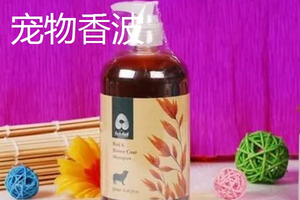 为什么要对宠物做日常护理,有助于宠物保持健康