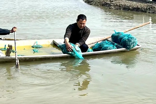 梭子蟹怎么养殖，夏季每周换2次水