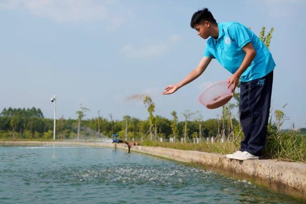 梭子蟹怎么养殖，夏季每周换2次水