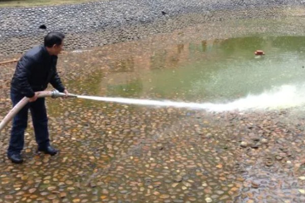 梭子蟹怎么养殖，夏季每周换2次水