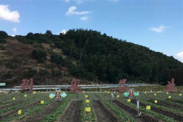 新农民创业致富项目，推荐景区民宿、特色养殖等