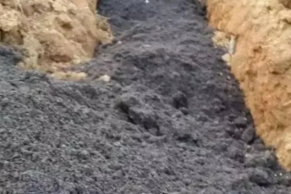 土壤连作障碍怎么解决,与其它作物进行轮作