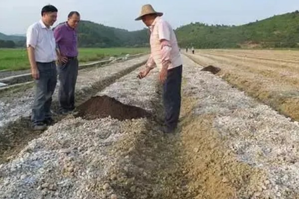 土壤连作障碍怎么解决,与其它作物进行轮作