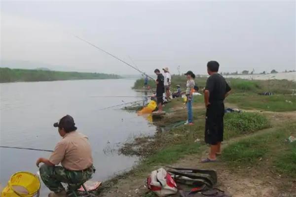 用什么饵可以快速钓到白条鱼,野战蓝鲫、疯钓鲫等商品饵效果好