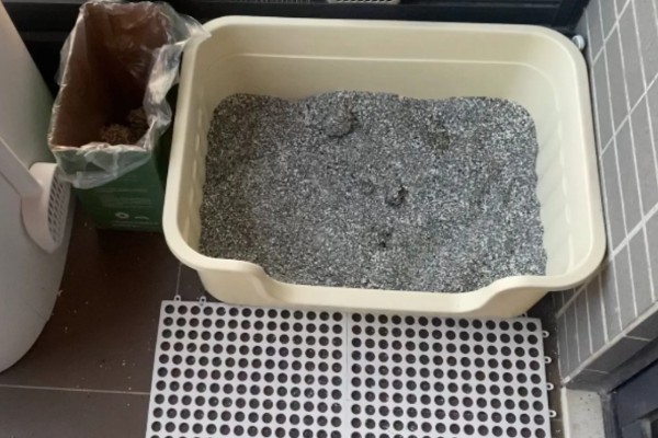 猫咪一天的正常排尿次数，排尿4-5次属于正常现象