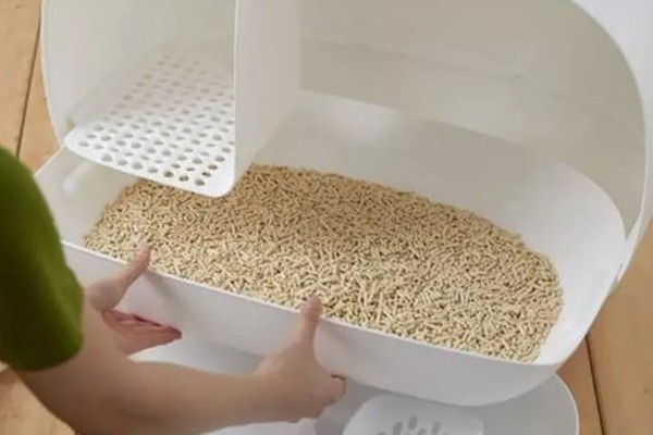 猫咪一天的正常排尿次数，排尿4-5次属于正常现象