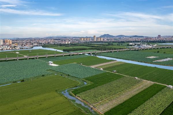 休闲农业有什么发展趋势，可能向农村景区化、农业多产化转变