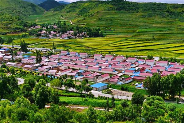 休闲农业有什么发展趋势，可能向农村景区化、农业多产化转变