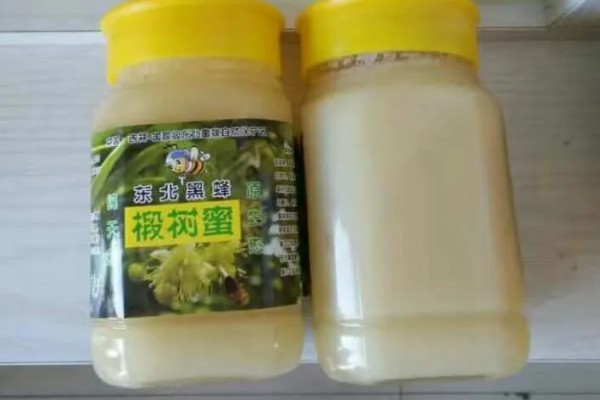 正宗椴树蜜的价格,需要50-80元一斤