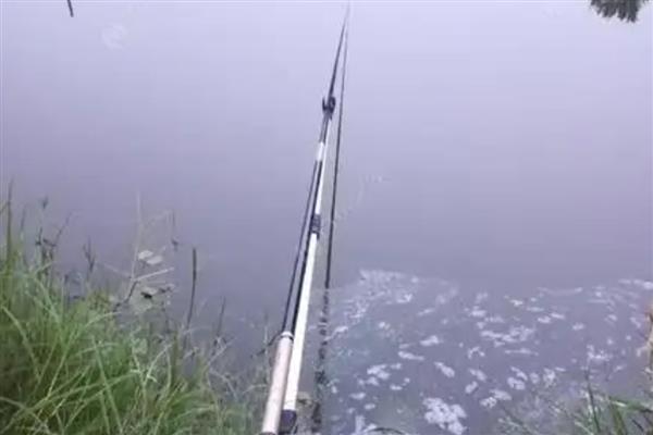 深秋钓鱼是不是钓深水,大部分情况要钓深