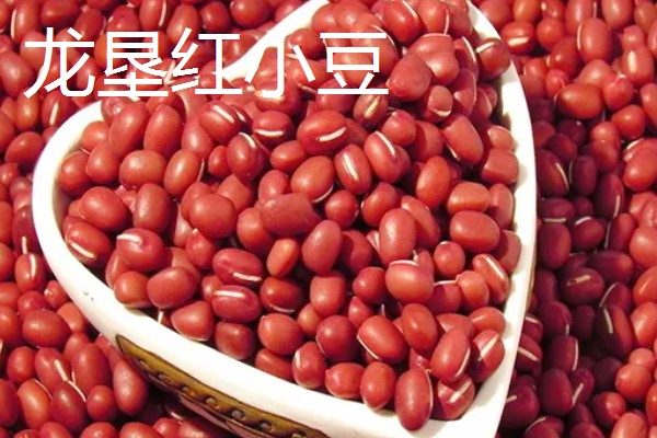红小豆的产地,主要产于东北生态区、华北生态区等区域