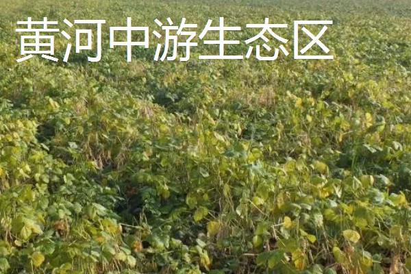 红小豆的产地,主要产于东北生态区、华北生态区等区域