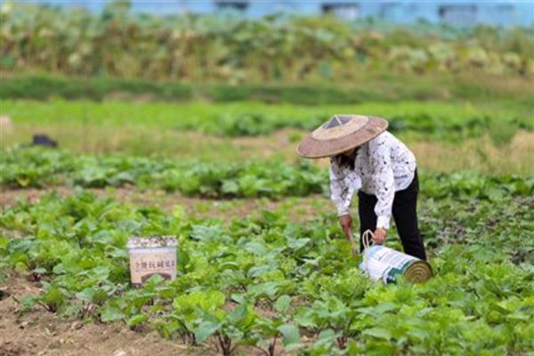 春耕怎么买肥料，有以下4个注意事项