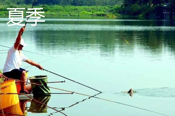 钓鱼的适宜气压，最佳气压为990-1005百帕