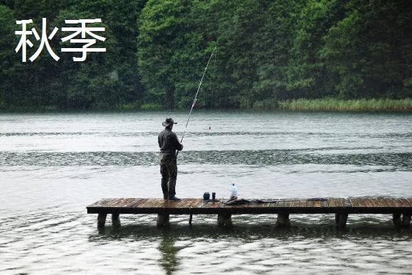 钓鱼的适宜气压，最佳气压为990-1005百帕