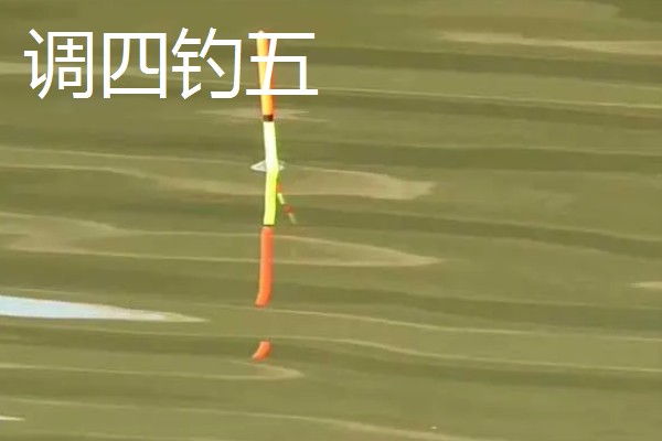 钓鱼的适宜气压，最佳气压为990-1005百帕