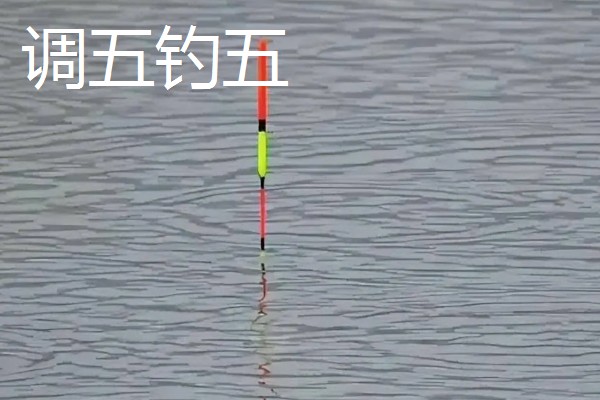 钓鱼的适宜气压，最佳气压为990-1005百帕