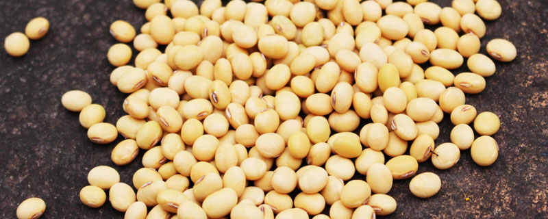 皖豆60大豆种子特征特性，亩种植密度3—5万株